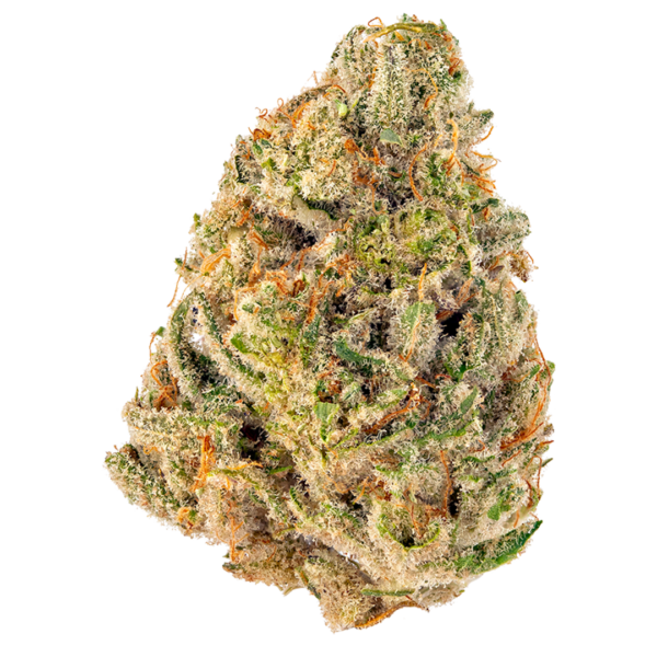 Triangle Kush strain